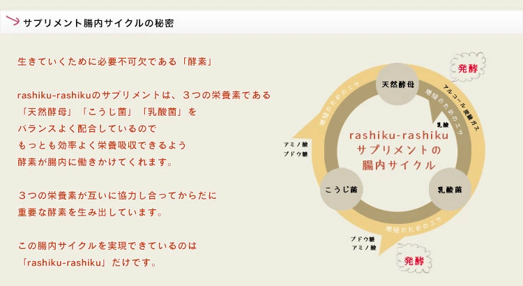 酵母・こうじ菌・乳酸菌のはたらきを示す図解
