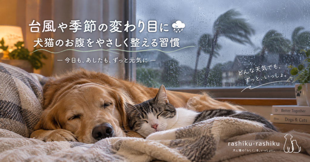 天然酵母のrashiku-rashiku